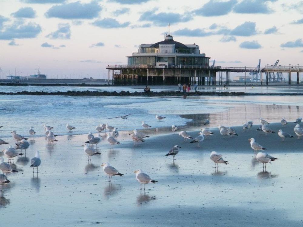 Seaside Blankenberge Hotel Kültér fotó